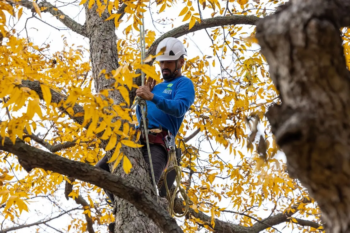 Skilled Storm Damage Cleanup crew working in Anadarko